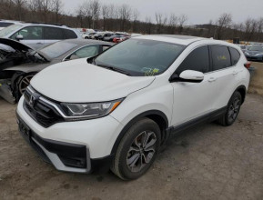 Honda CR-V 2020 EX-L - 1 