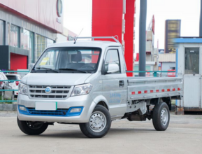 Rich EC-31 PICK-UP 2024 