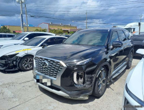 Hyundai Palisade 2019 - 1 