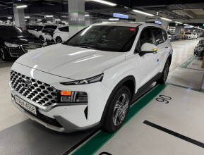 Hyundai Santa Fe 2020 - 17 