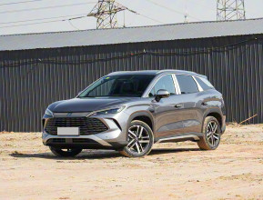 BYD Song L 2025 - 7 
