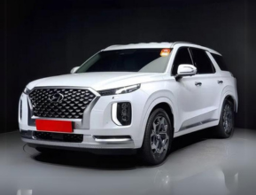 Hyundai Palisade 2021 - 4 