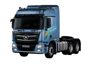 Foton Cayman Pixiu 2022 
