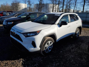TOYOTA RAV4 LE 2020 