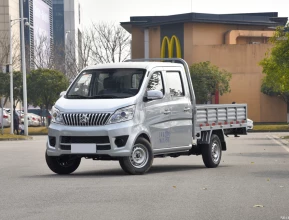 Changan T10EV Pick-Up 2021 - 1 