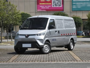Wuling EV50 2022 
